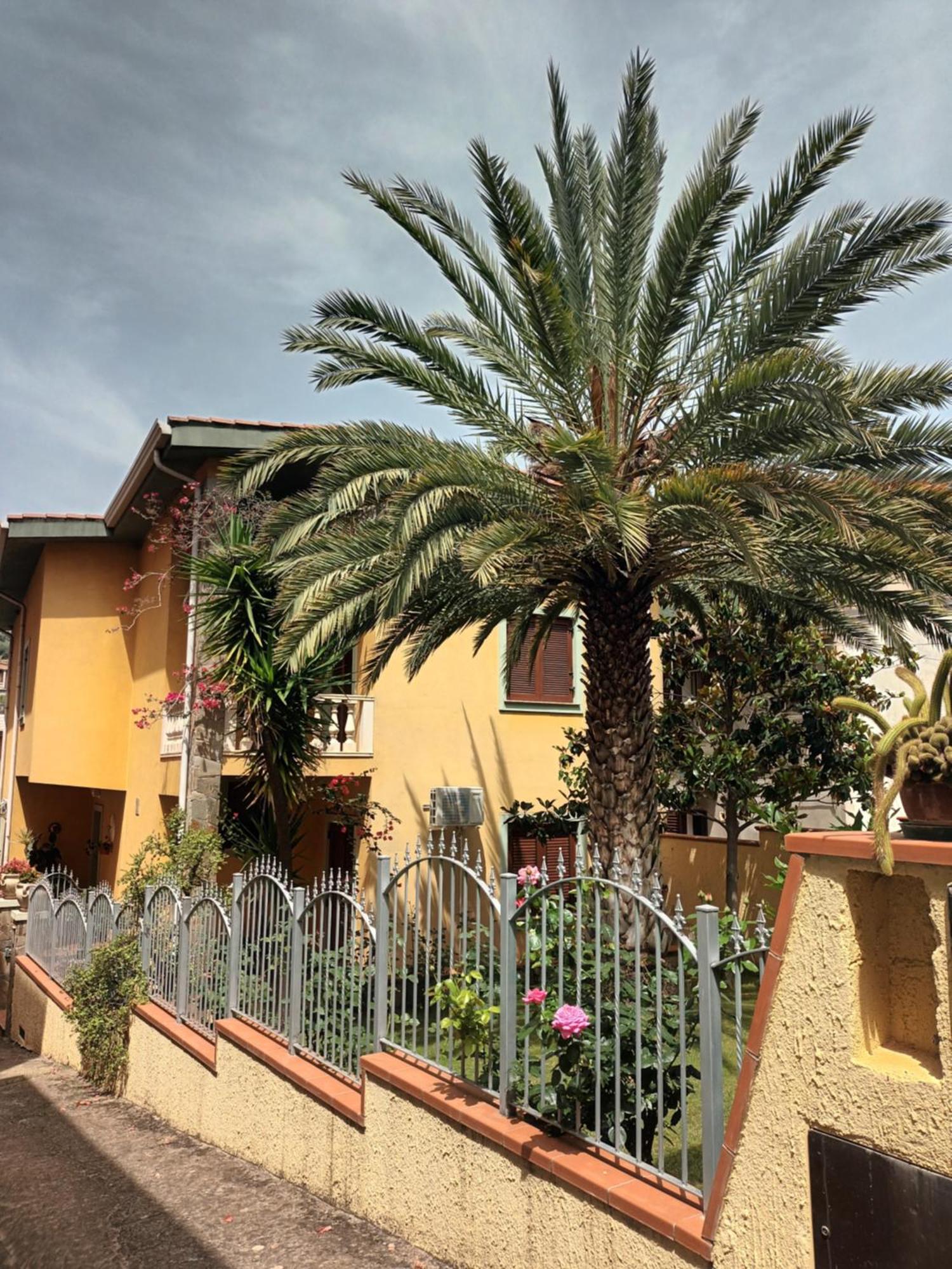 Hotel Valentina'S Garden House Triei Esterno foto